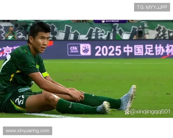 法比奥赞王刚永远是队典范